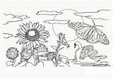 Coloring Nature Pages Printable Kids Color Print Flowers Book Animals Place Mat Scene Nice sketch template