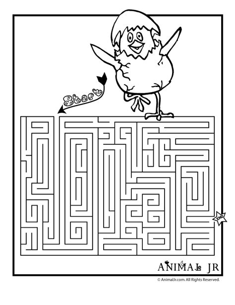 printable spring chick maze woo jr kids activities