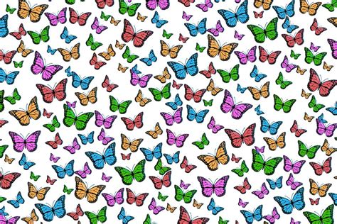 multicolored butterfly print butterflies colorful pattern texture