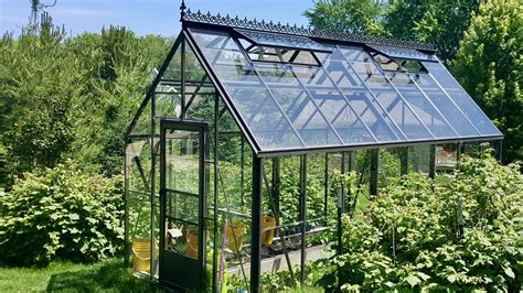 backyard greenhouse lets  garden  harvest food   winter