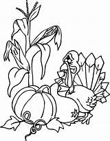Corn Ernte Harvest Turkey sketch template