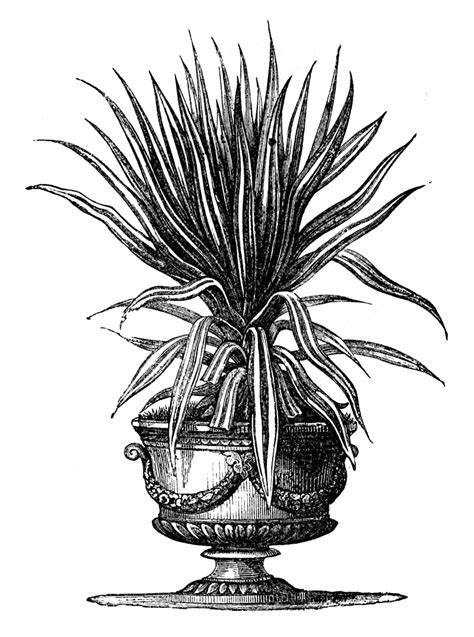 victorian garden graphics potted plants in urns the graphics fairy