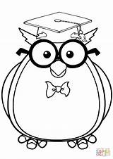 Coloring Owl Glasses Pages Wise Cap Graduate Printable sketch template