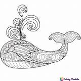 Whale Animals Coloring sketch template