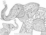 Elephant Coloring Adult Baby Pages Printable Animal Adults Colouring Mandala Coloringgarden Elephants Book Animals Sheets Patterns Getdrawings Pdf Zentangle Choose sketch template