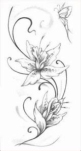Tatuaggi Floreali Sketches Lilium sketch template