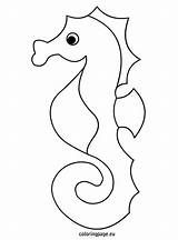 Seahorse Coloring Pages Results Horse Sea sketch template