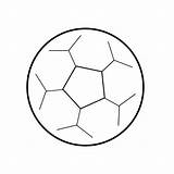 Voetbal Pallone Calcio Disegnare Printen Uitprinten Stappen Voetballen Bal Teken Clement Dropt Knutselen Kaarten sketch template