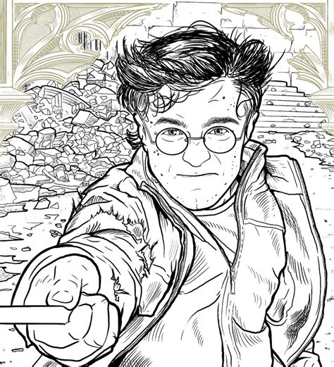 exclusive    harry potter colouring book  insight editions