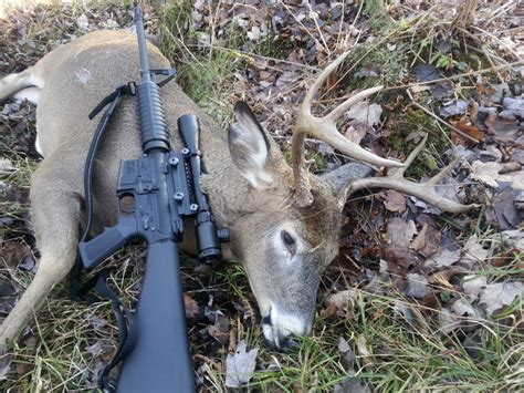 blackout  hunting deer   work  percent arms