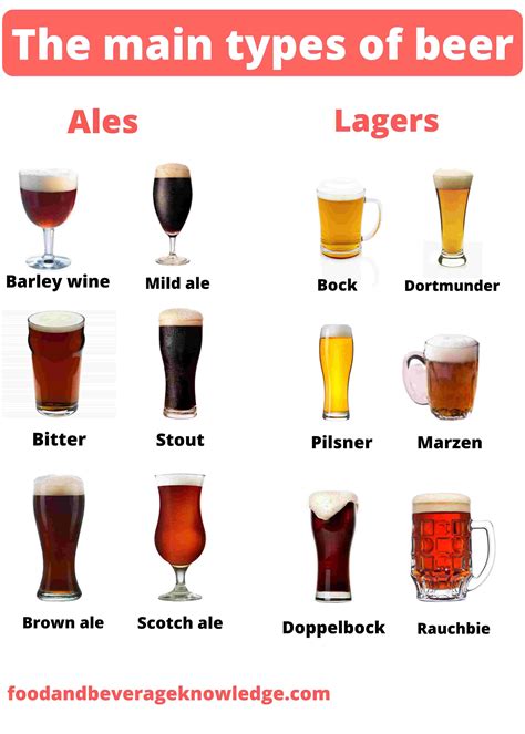 types  beer