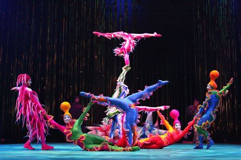 entertainment  sports        shows  cirque du soleil
