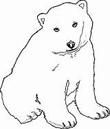 Coloring Bear Ask Wecoloringpage sketch template