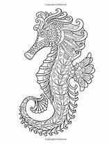 Coloring Pages Adult Seahorse Amazon sketch template