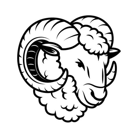 simple color vinyl male sheep head stickers factory