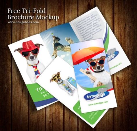 freepik graphic resources    brochure template