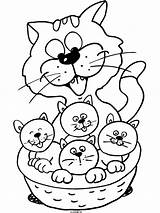 Poes Poesjes Jongen Poezen Katten Kleurprenten Een Reactie Schrijf sketch template