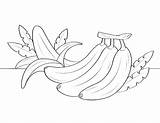 Banana Coloring Pages Printable Museprintables sketch template