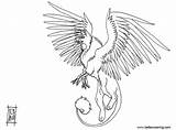Griffin Coloring Outline Printable Adults sketch template