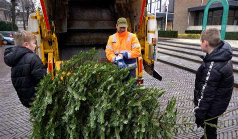 kerstbomen inzamelactie weer als vanouds al het nieuws uit katwijk rijnsburg en valkenburg