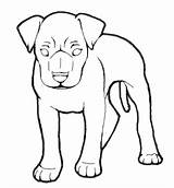 Boxer Puppy Outline Drawing Getdrawings sketch template