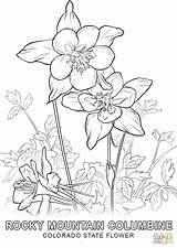 Flower Coloring Colorado State Columbine Pages Blue Printable Drawing Sheets Kids Adult Drawings Bird Mountain 1020 1440px 27kb Styles Rocky sketch template