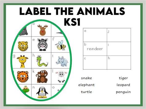 label  animals worksheet eyfs ks teaching resources