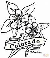 Colorado Coloring Pages Printable Flag States Drawing Dot Supercoloring Categories sketch template