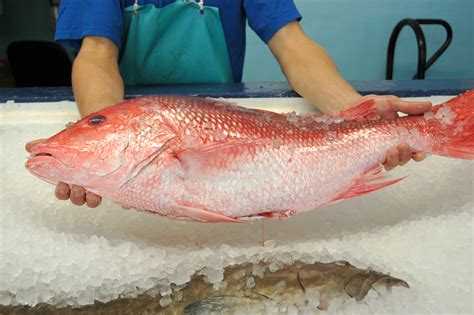 market forms  fresh fish  cleaning methods mariners menumariner
