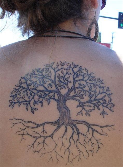 17 best images about tree of life on pinterest trees
