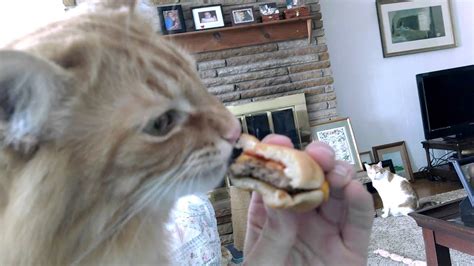 leo loves burgers youtube