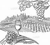 Vineyard Drawing Vine Outline Sketches Wine Vector Grape Composition Paintingvalley Grapes Sketch Glass Hebstreits Choose Board sketch template