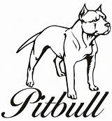 Pitbull Coloring Pages Dog Drawing Puppy Pitbulls Step Line Bulls Drawings Printable Draw Color Para Chicago Clipart Cartoon Print Pit sketch template