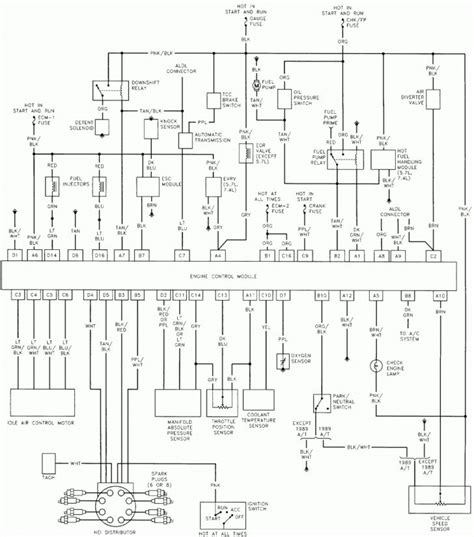 fleetwood rv electrical wiring diagram manual  books fleetwood rv
