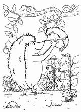 Hedgehog Hedgehogs sketch template