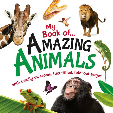 book  amazing animals book  igloobooks official publisher