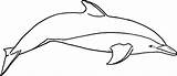 Dolphin Coloring Pages Printable Whale Outline Killer Kids Dolphins River Clipart Drawing Print Bottlenose Amazon Cliparts Realistic Color Templates Template sketch template