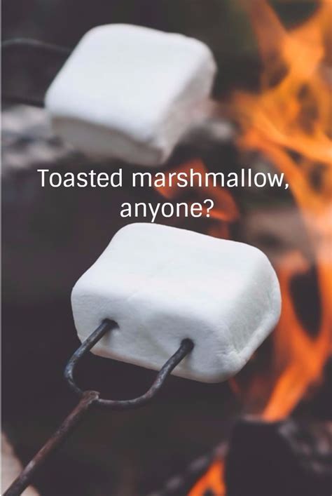Toasted Marshmallow Anyone With Images Toasted