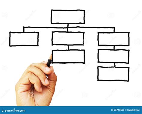 organization drawing stock photo image