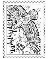 Coloring Eagle Stamp Pages Bald Stamps Activity Sheets Nature Usps Kids Postage Postal Clipart Birds Printable Collecting Books Library Adult sketch template