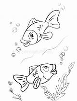 Fish Coloring Isolated Pair Swimming Two Friends Illustration Stock sketch template