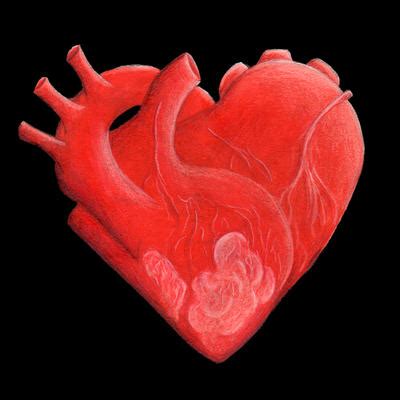 heart shaped heart  tursiart  deviantart