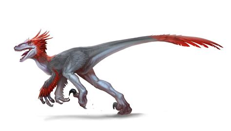 deinonychus by exomemory on deviantart dinosaur drawing raptor