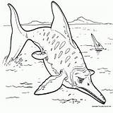 Animals Coloring Ichthyosaurs sketch template