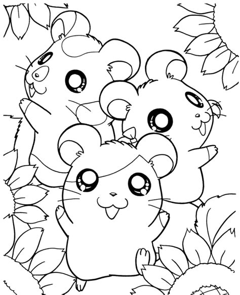 hamster coloring pages printable printable world holiday