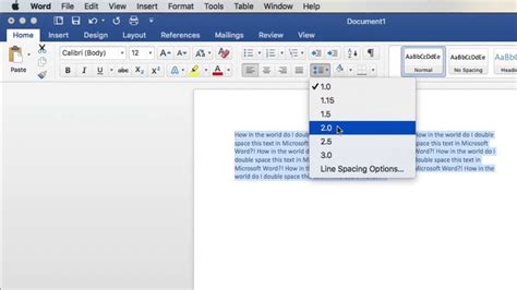 double spaced document    double space   word document