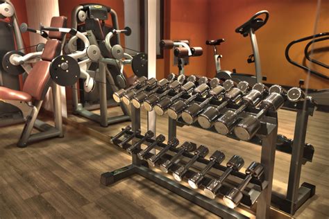 image of fitness equipment