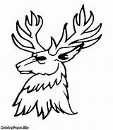 Deer Coloringpages sketch template
