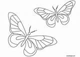 Papillons Coloriages Papillon Insect Farfalle Colorare Animaux Enregistrée Trouvé sketch template
