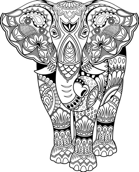 elephant coloring pages  adults info